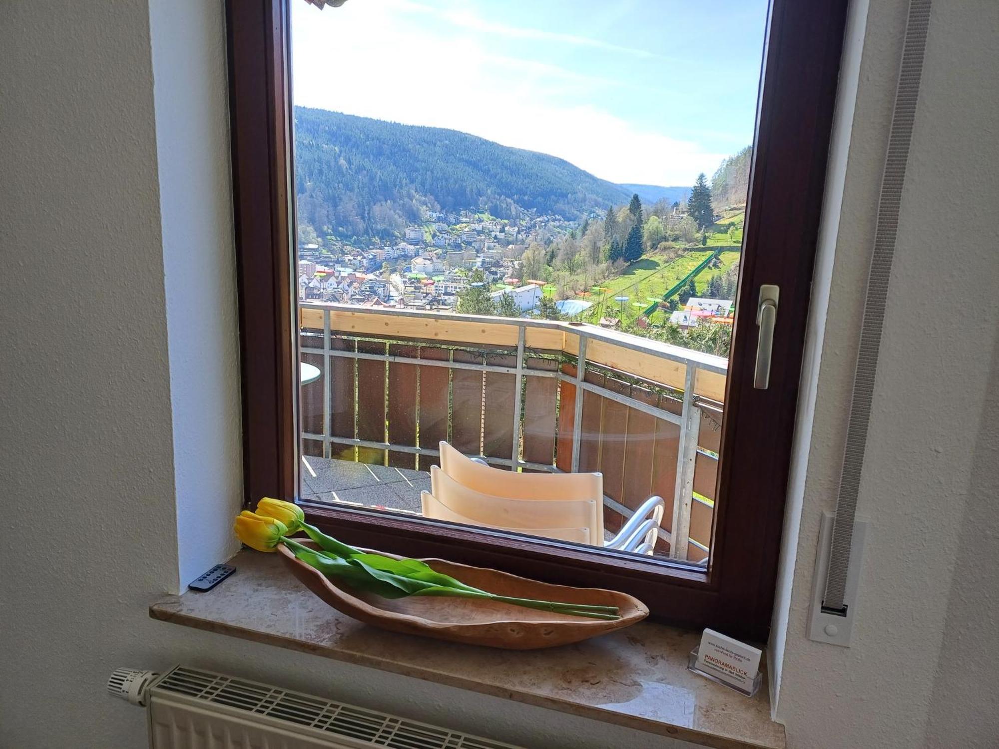 Ferienwohnung Panoramablick 巴特维尔德巴德 外观 照片