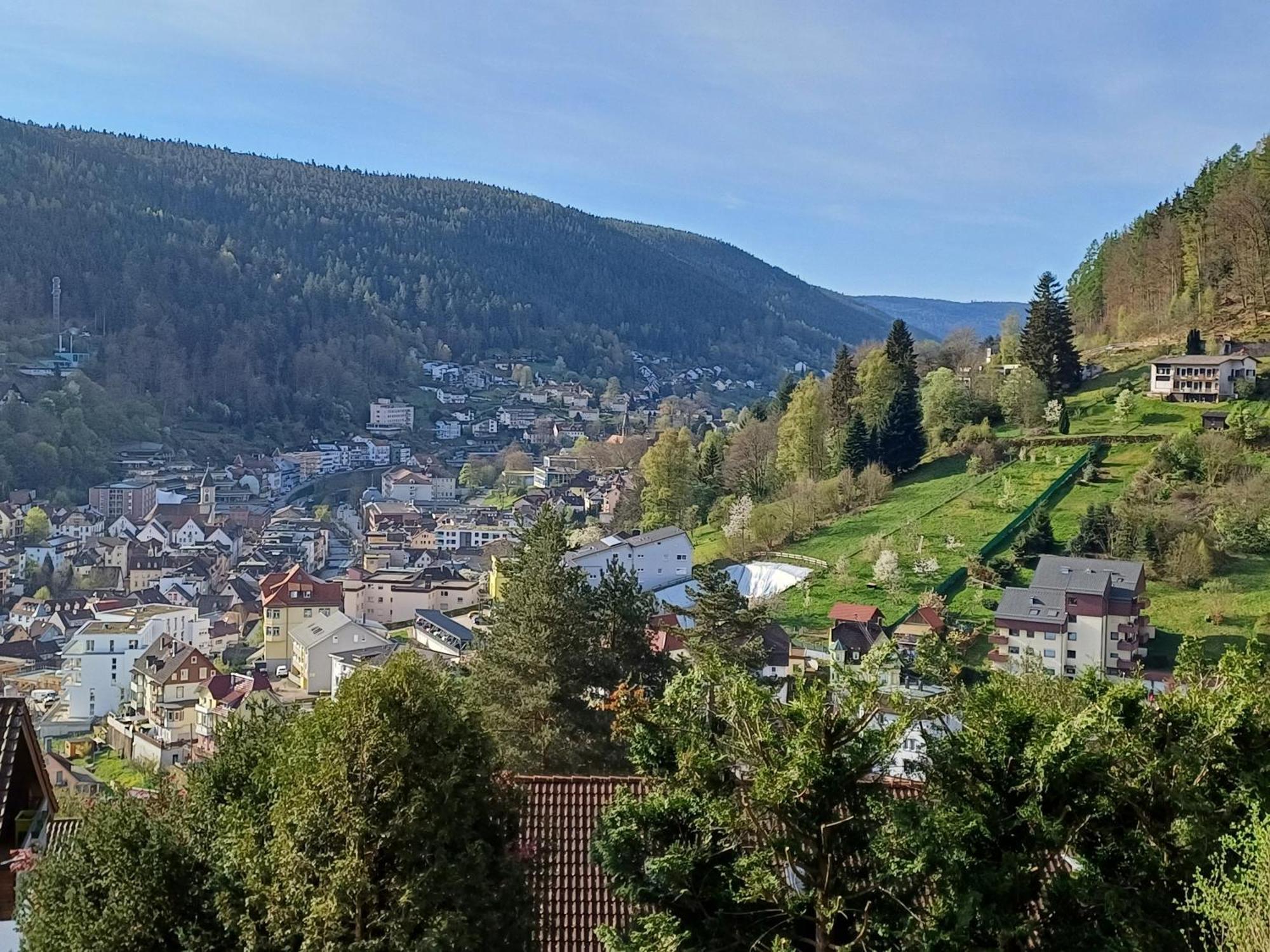 Ferienwohnung Panoramablick 巴特维尔德巴德 外观 照片