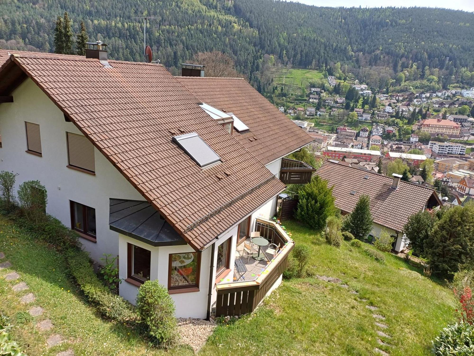 Ferienwohnung Panoramablick 巴特维尔德巴德 外观 照片